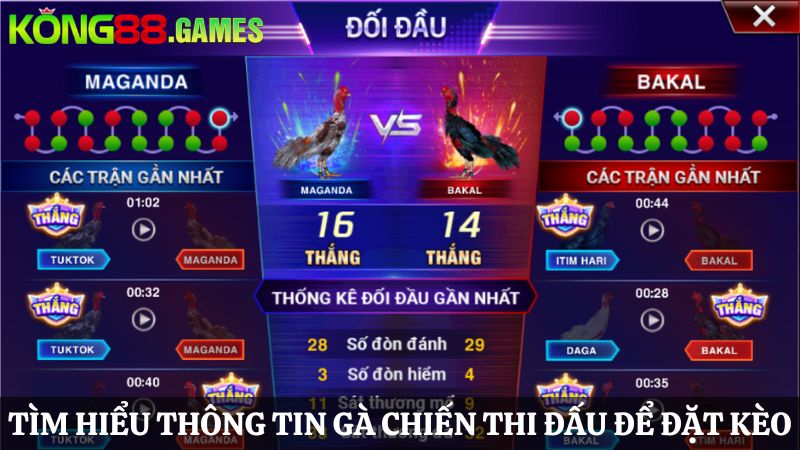 KONG88 Đá gà online hấp dẫn