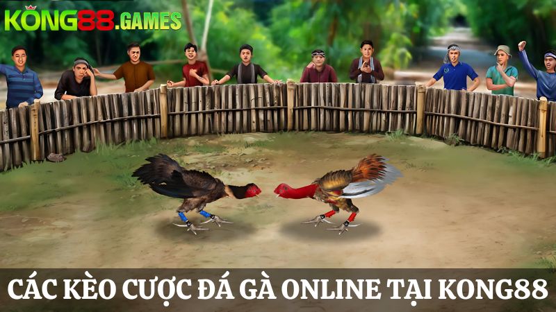 các kèo cược KONG88 Đá gà online 