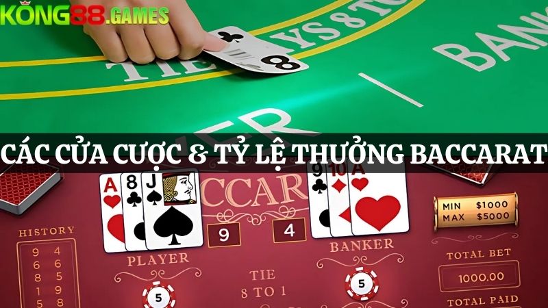 các cửa cược và tỷ lệ thưởng Baccarat online KONG88